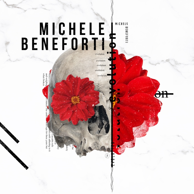 Immagine articolo L'Evolution di Michele Beneforti