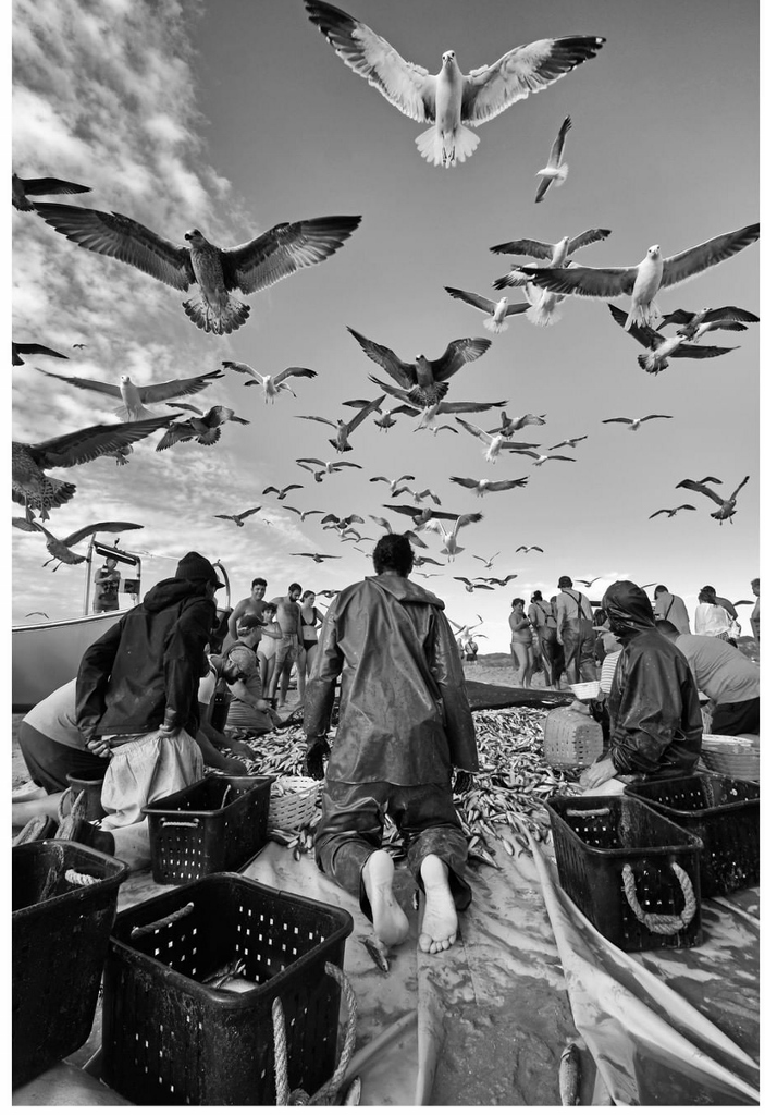 Immagine articolo Fecondità mediterranea