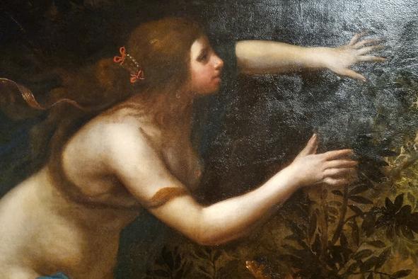 Immagine articolo L'alba del Seicento fiorentino