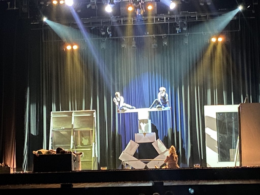 Immagine articolo Mostra acrobatica
