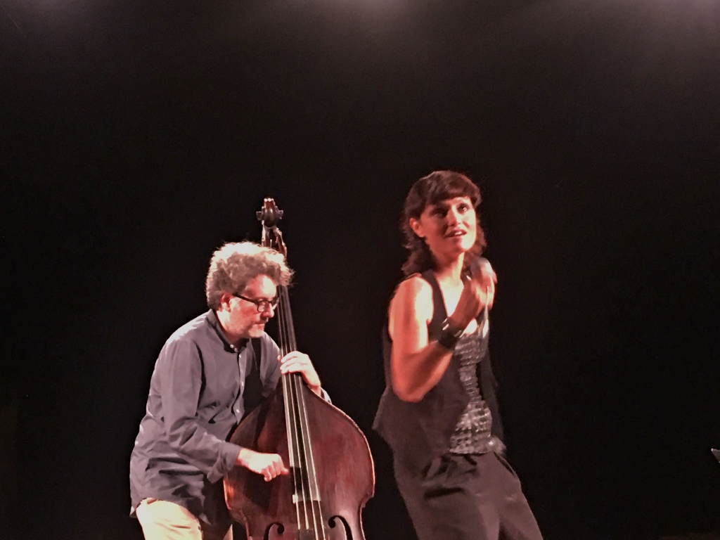 Immagine articolo Lo strumento della voce