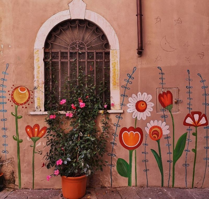 Immagine articolo L'accademia di via San Piero