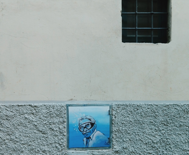 Immagine articolo #lartesanuotare