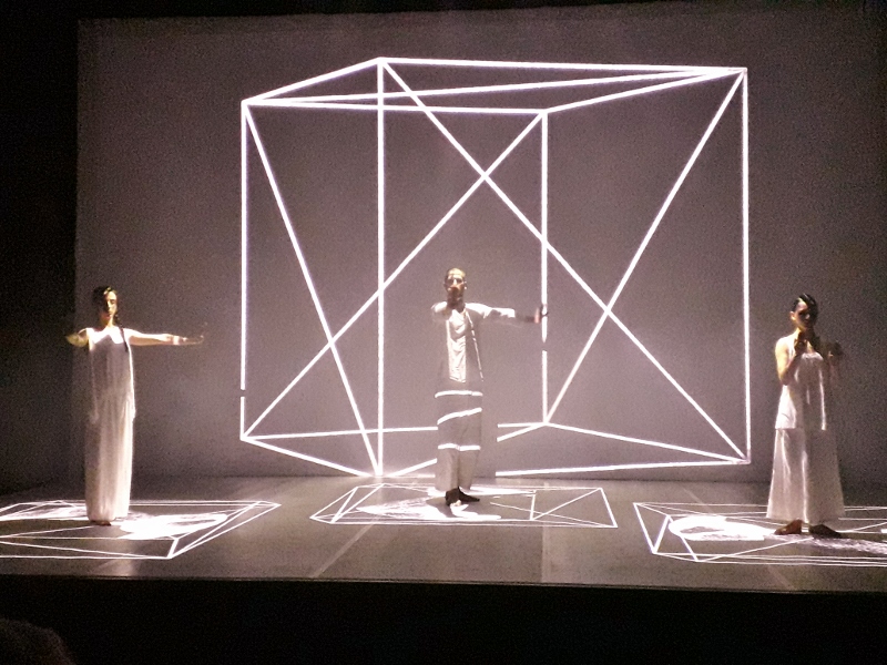 Immagine articolo La danza di Fibonacci