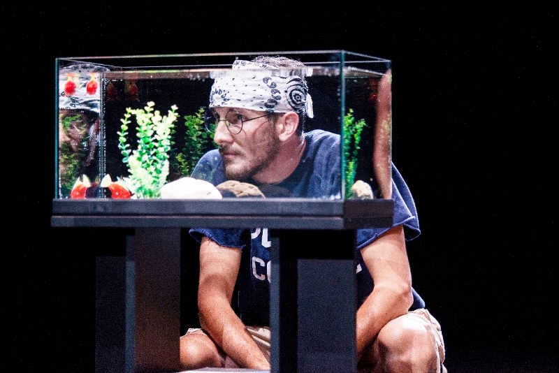 Immagine articolo Sovraccarico. Di intelligenza