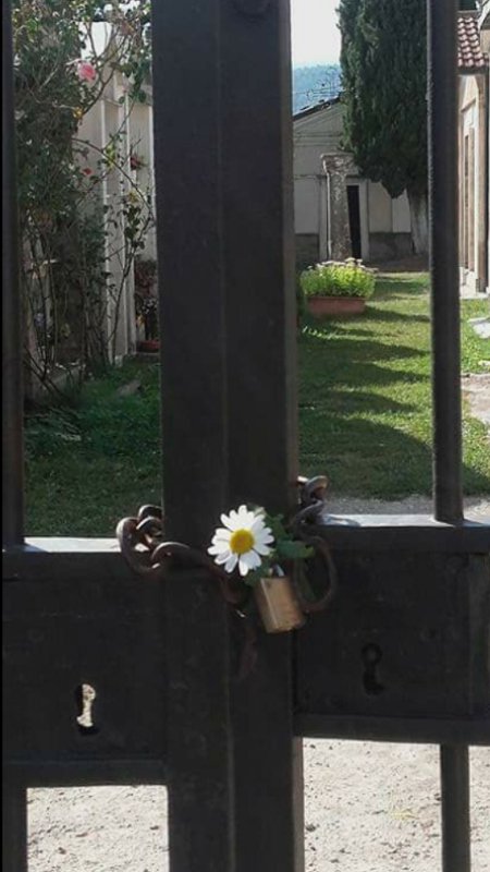 Immagine articolo Due anni. Dopo