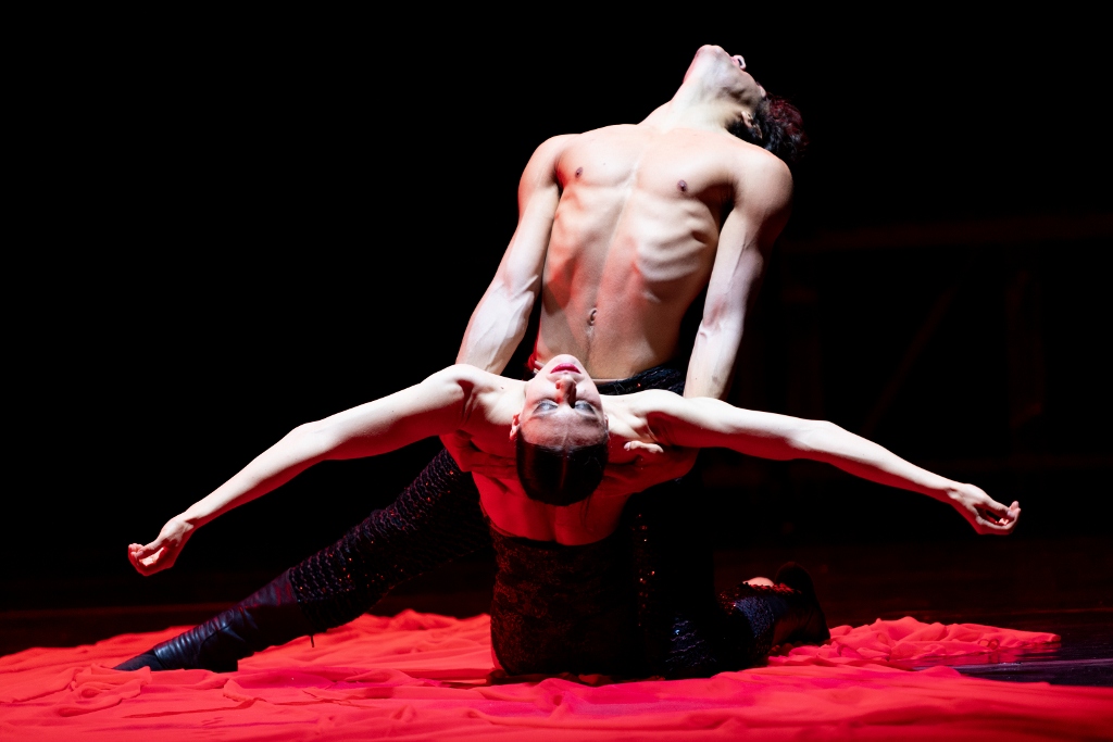 Immagine articolo Rosso e nero, passione e morte