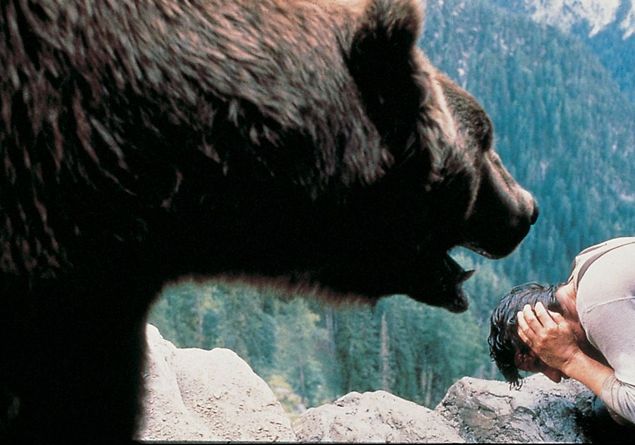 Immagine articolo Il riscatto sulla pelle di un orso