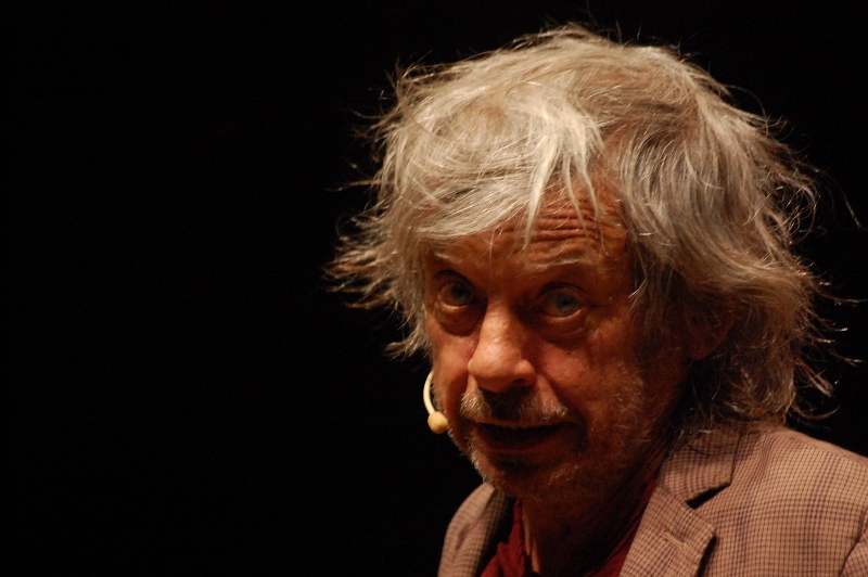 Immagine articolo Orfano d'arte